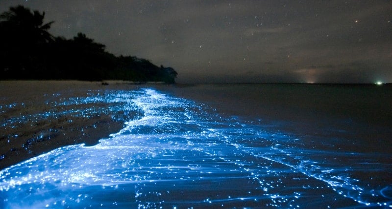 a body of water for Puerto Rico night fishing