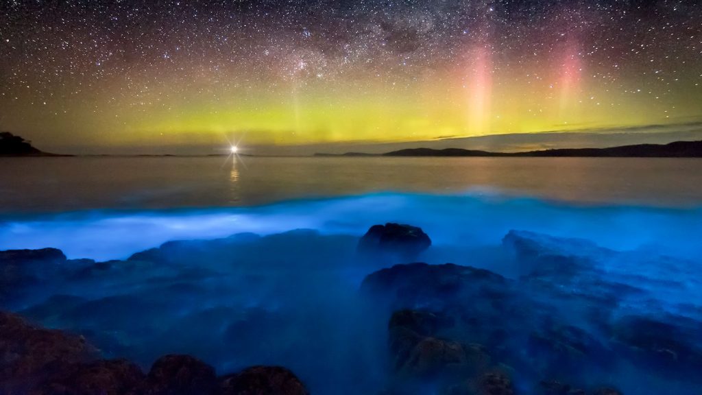 bioluminescent bay puerto rico,a sunset over a body of water