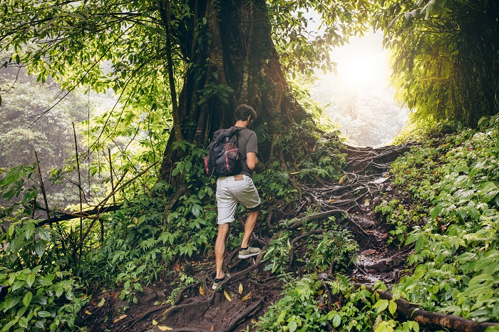 Popular Hikes in Puerto Rico