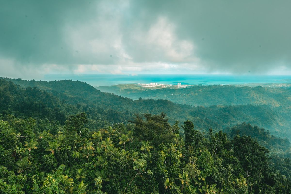 dark clouds over a rainforest in puerto rico